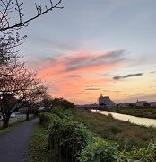 夕焼け、土手