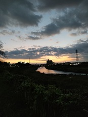 夕焼け、土手