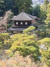 紅葉、銀閣寺